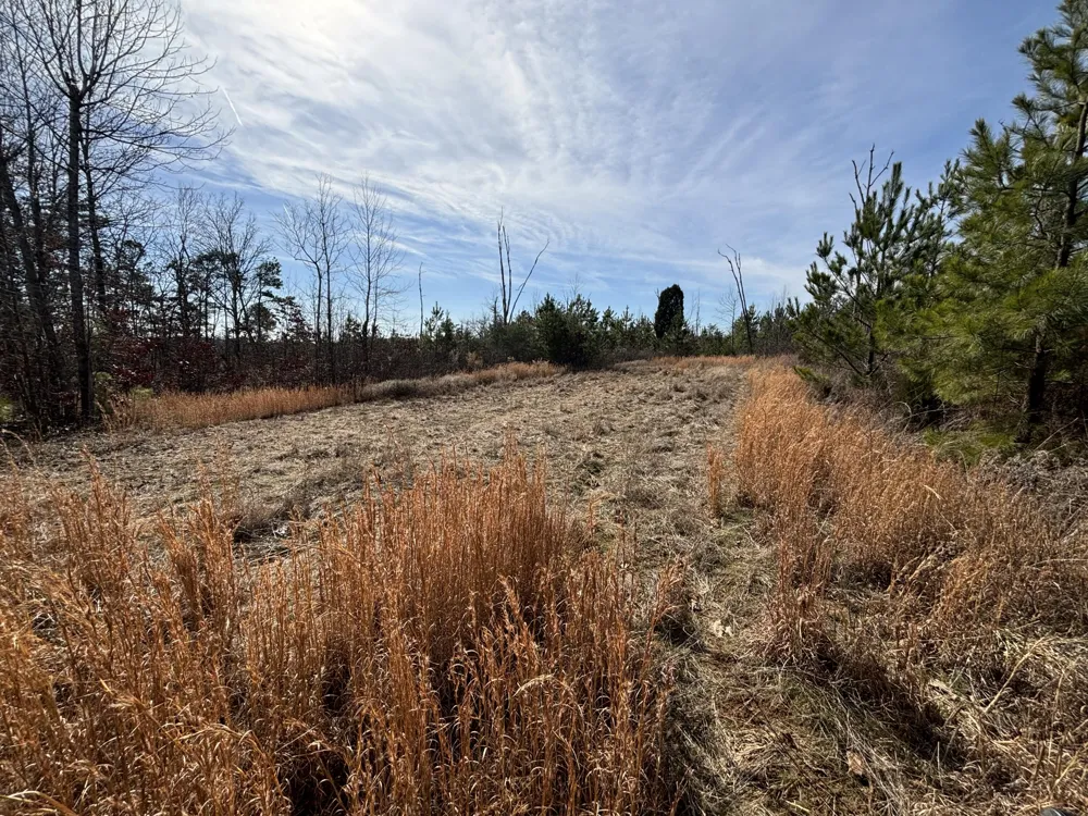 Vaughn Mill Road Evensville, TN 37332
