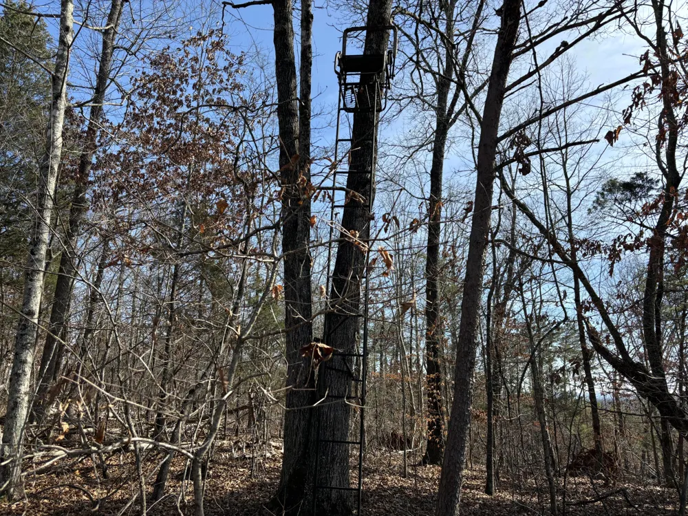 Vaughn Mill Road Evensville, TN 37332