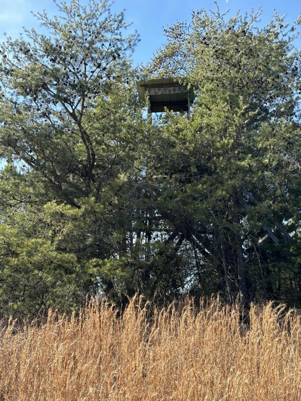 Vaughn Mill Road Evensville, TN 37332