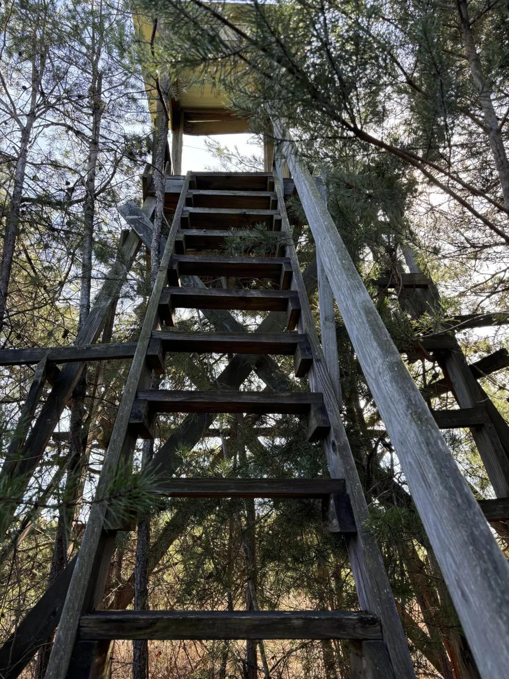 Vaughn Mill Road Evensville, TN 37332