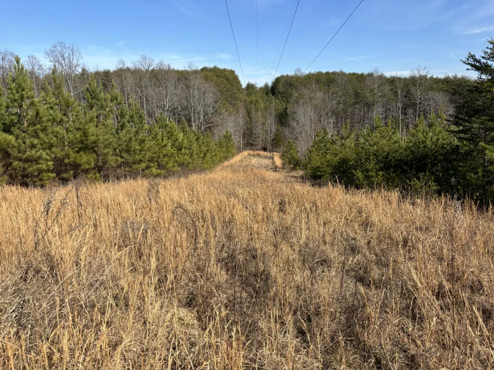 Vaughn Mill Road Evensville, TN 37332