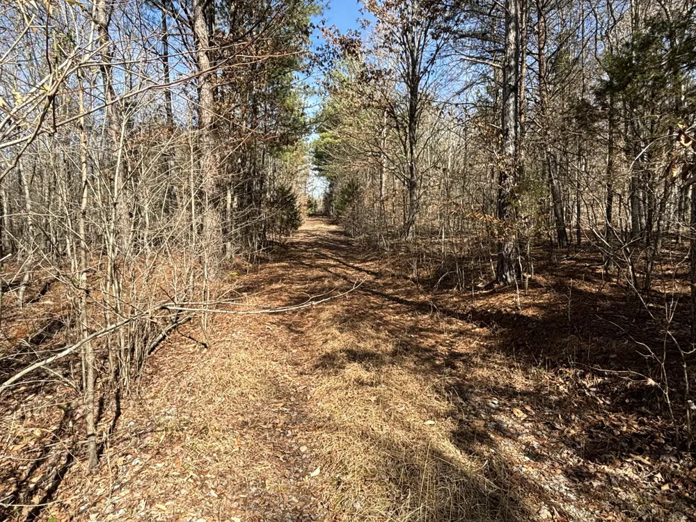 Vaughn Mill Road Evensville, TN 37332