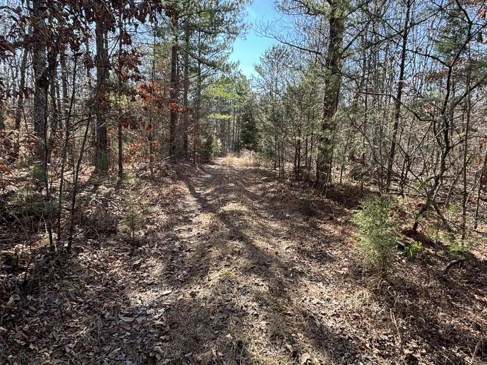 Vaughn Mill Road Evensville, TN 37332