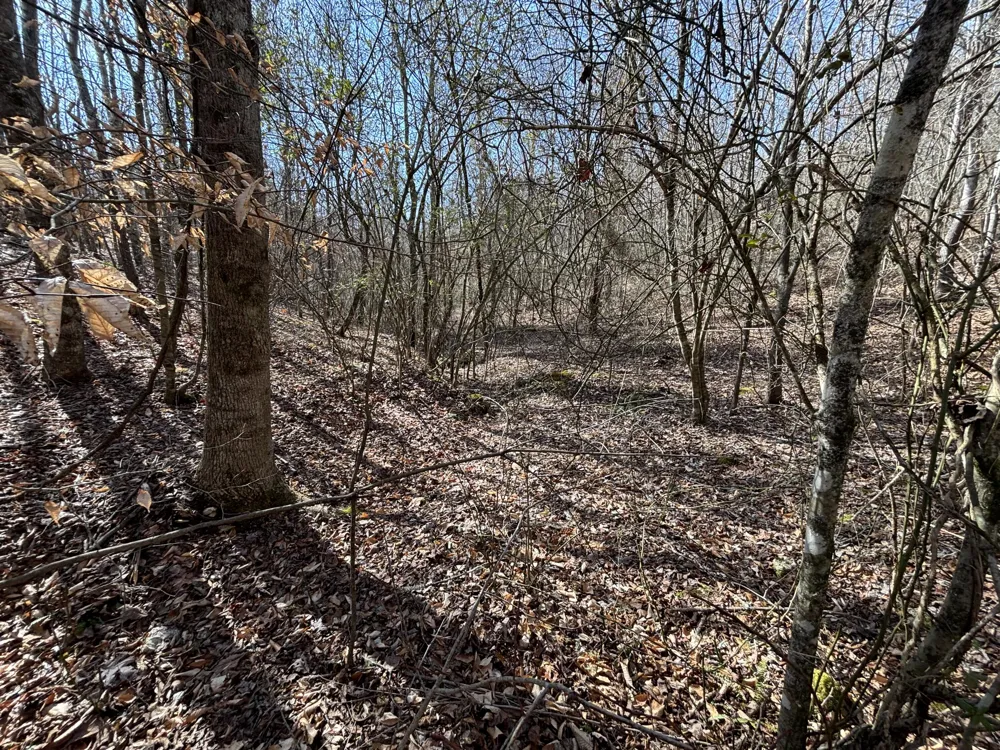 Vaughn Mill Road Evensville, TN 37332