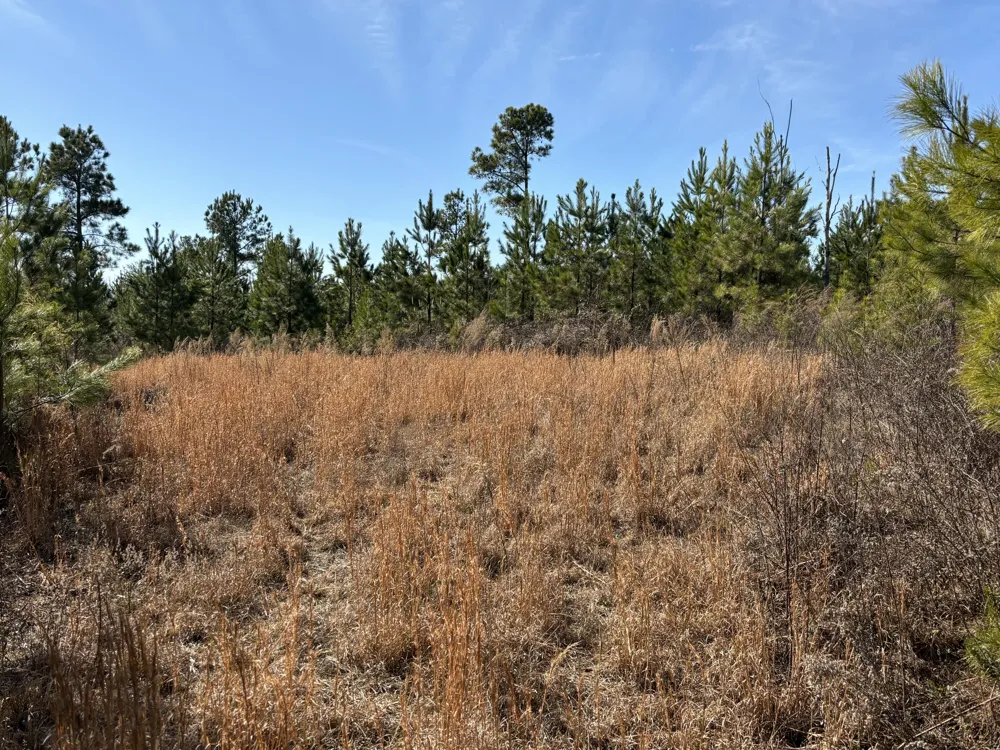 Vaughn Mill Road Evensville, TN 37332