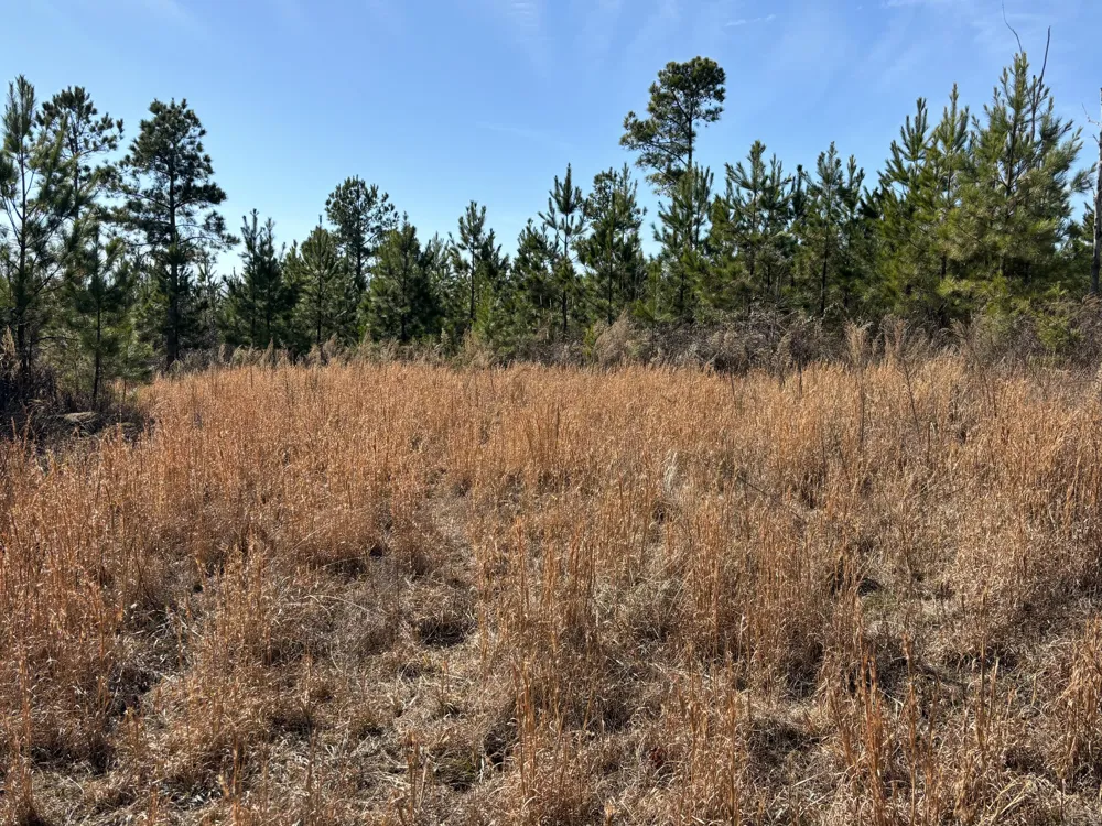 Vaughn Mill Road Evensville, TN 37332