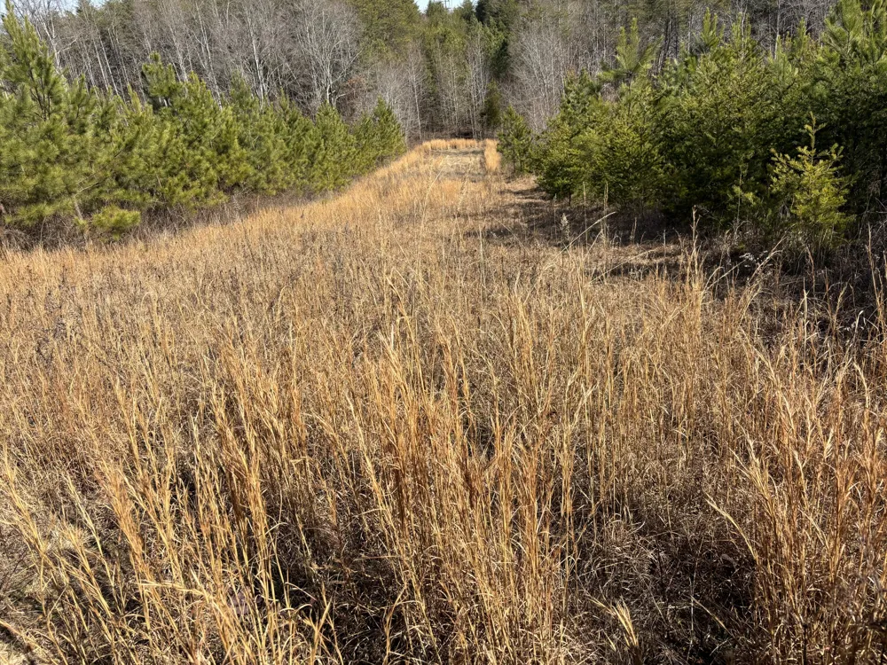 Vaughn Mill Road Evensville, TN 37332