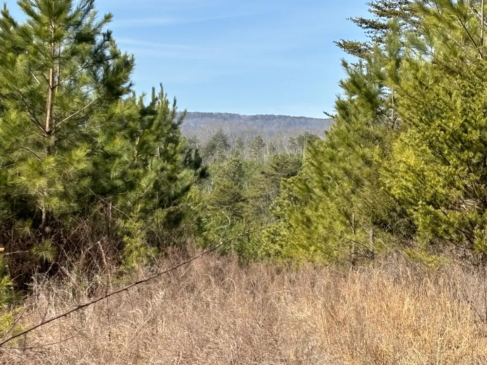 Vaughn Mill Road Evensville, TN 37332