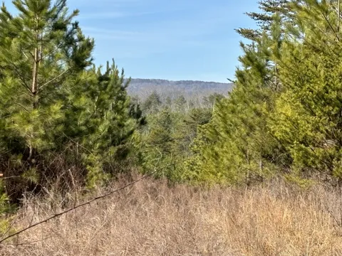 Vaughn Mill Road