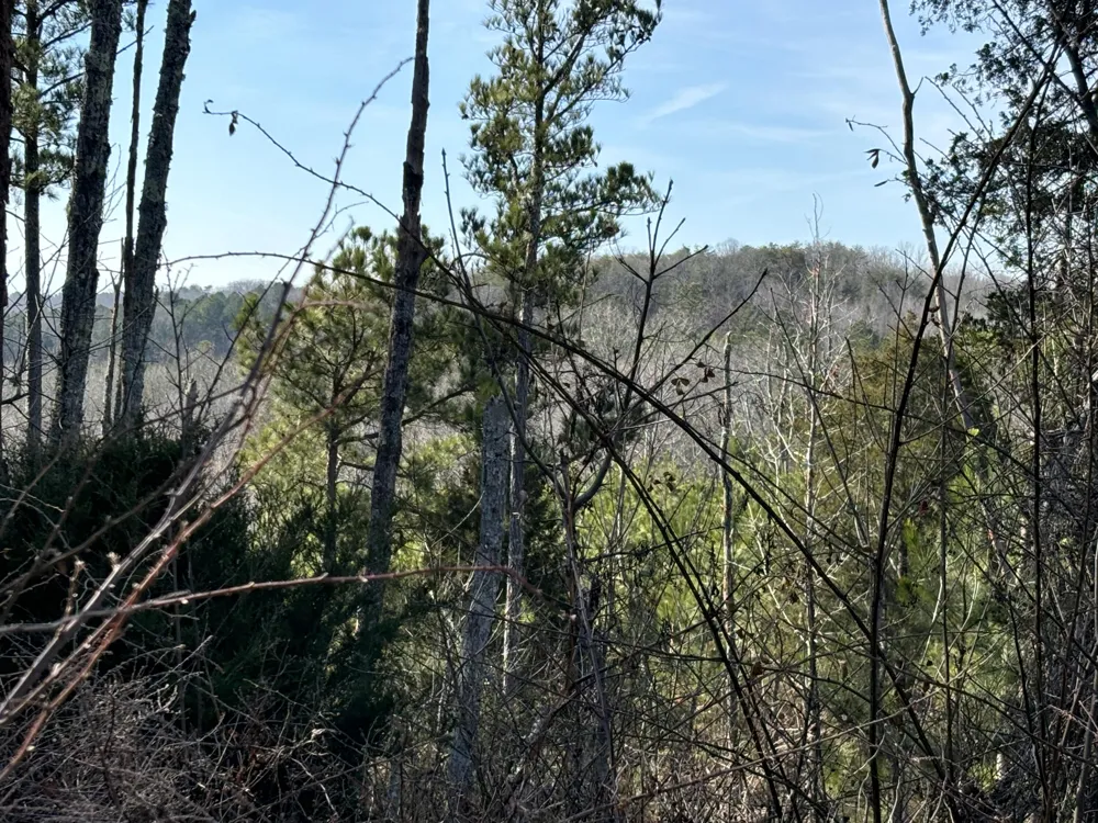 Vaughn Mill Road Evensville, TN 37332