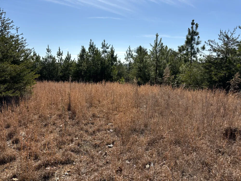 Vaughn Mill Road Evensville, TN 37332