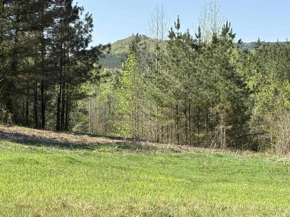 108 Leggett Road Sale Creek, TN 37373
