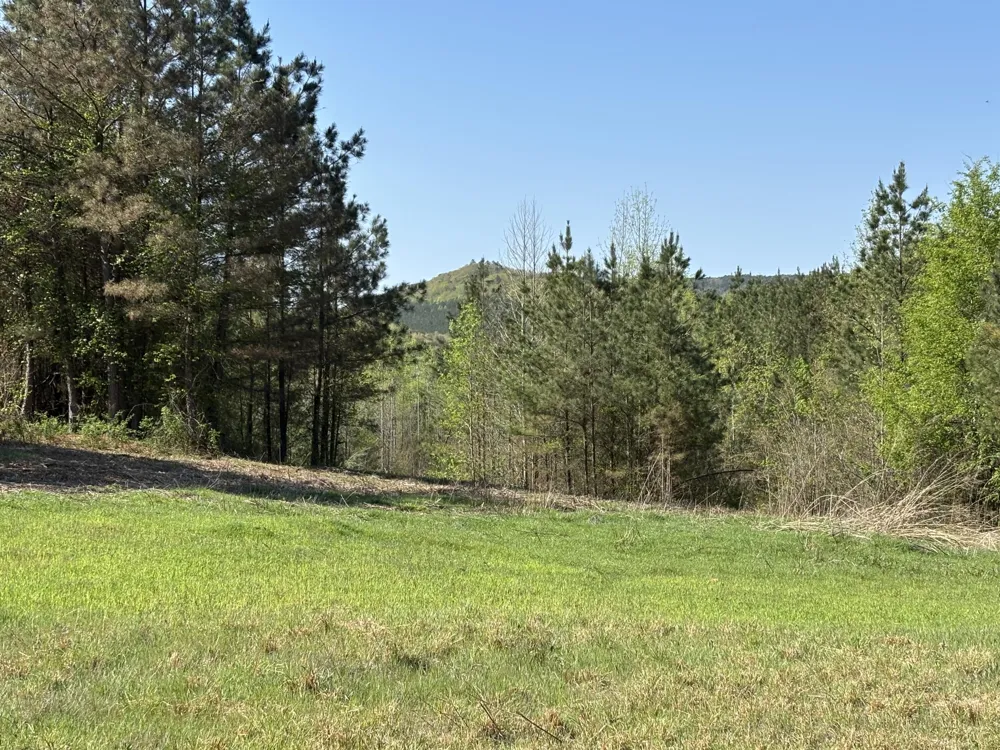 108 Leggett Road Sale Creek, TN 37373