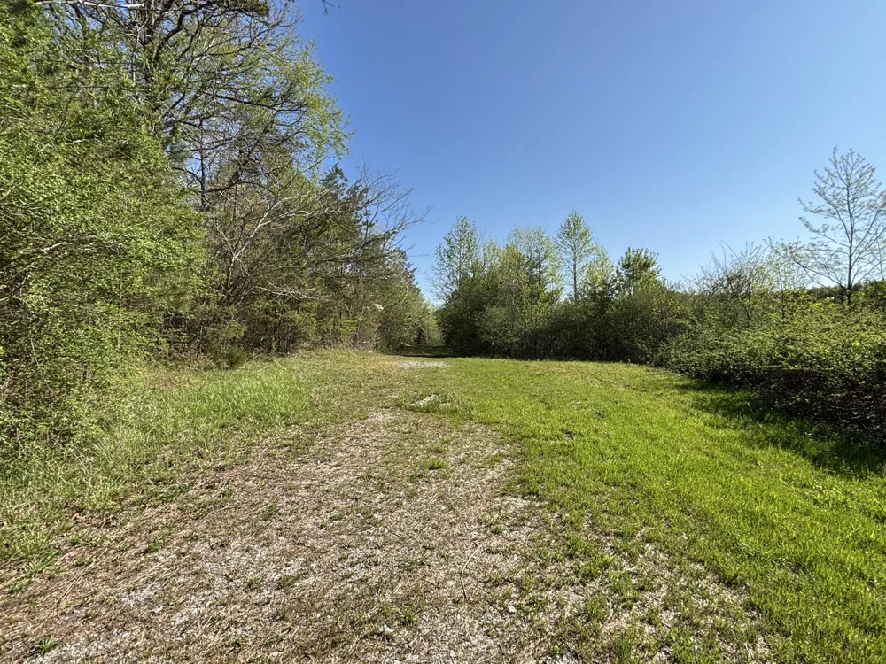 108 Leggett Road Sale Creek, TN 37373