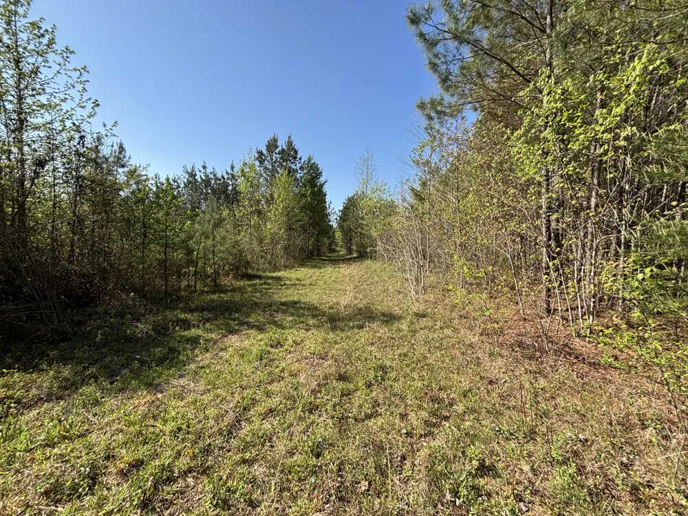 108 Leggett Road Sale Creek, TN 37373