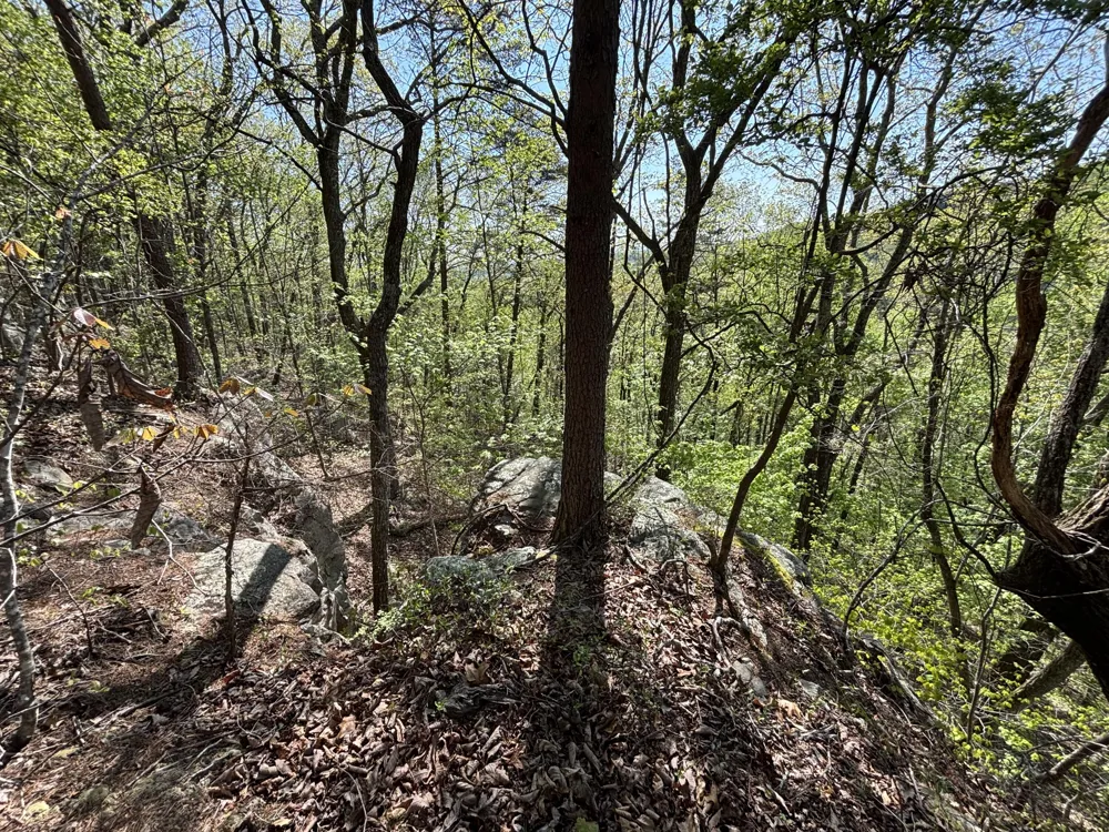 108 Leggett Road Sale Creek, TN 37373