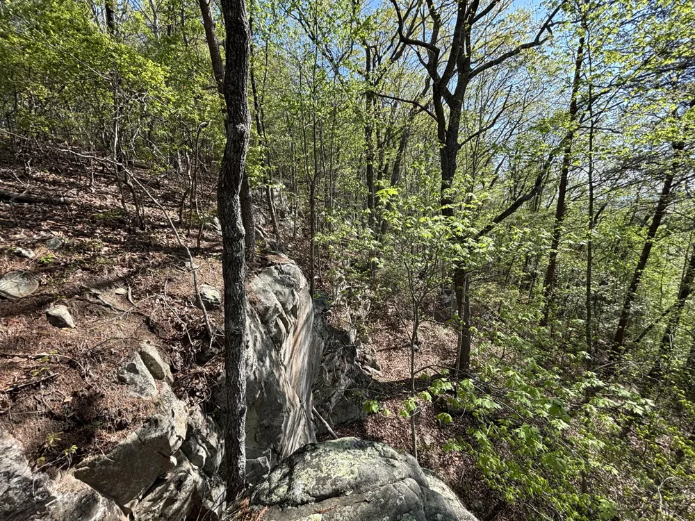 108 Leggett Road Sale Creek, TN 37373