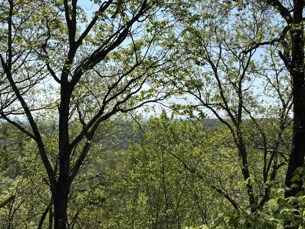108 Leggett Road Sale Creek, TN 37373