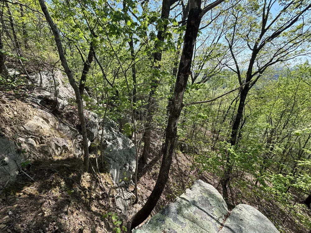 108 Leggett Road Sale Creek, TN 37373