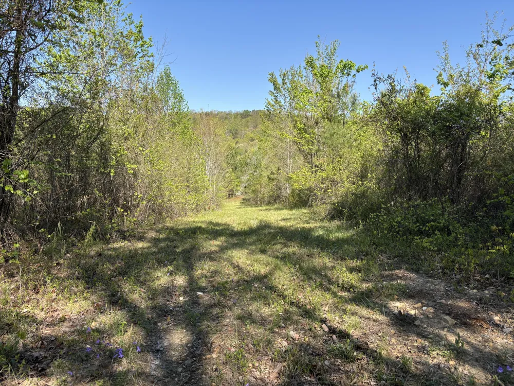 108 Leggett Road Sale Creek, TN 37373