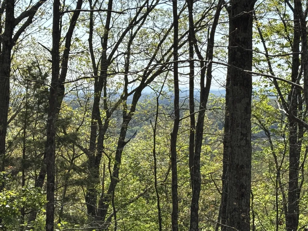 108 Leggett Road Sale Creek, TN 37373