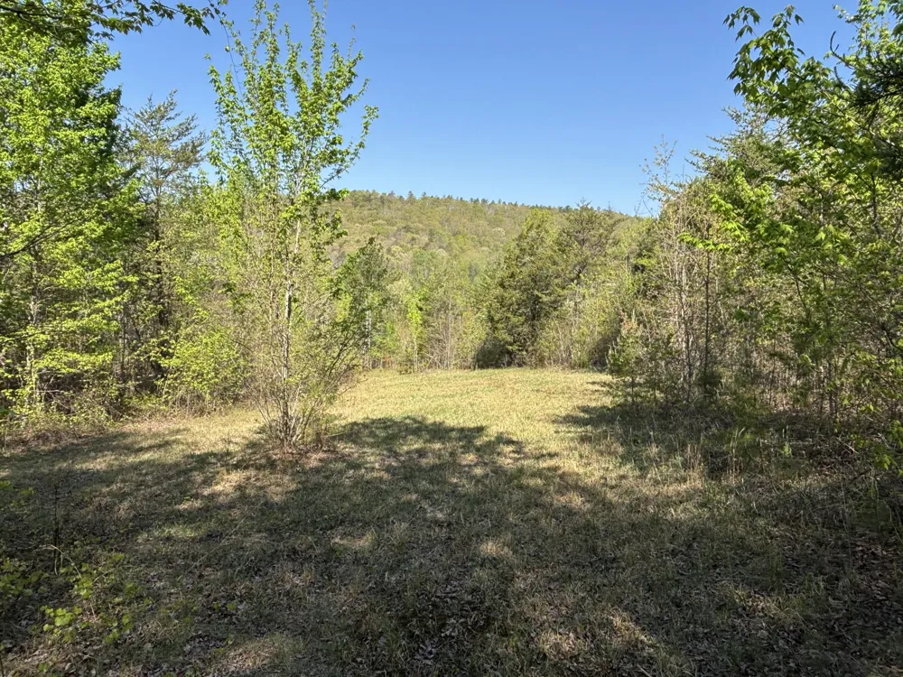 108 Leggett Road Sale Creek, TN 37373