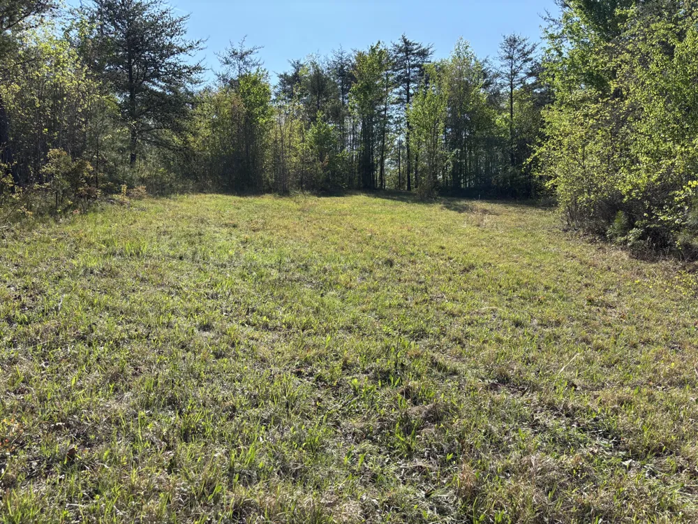 108 Leggett Road Sale Creek, TN 37373