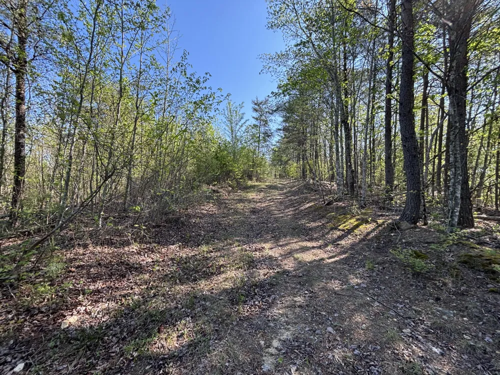 108 Leggett Road Sale Creek, TN 37373