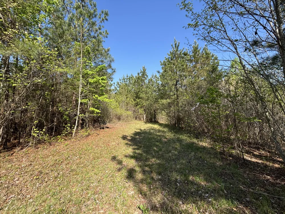 108 Leggett Road Sale Creek, TN 37373