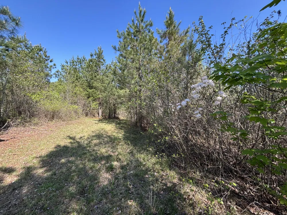 108 Leggett Road Sale Creek, TN 37373