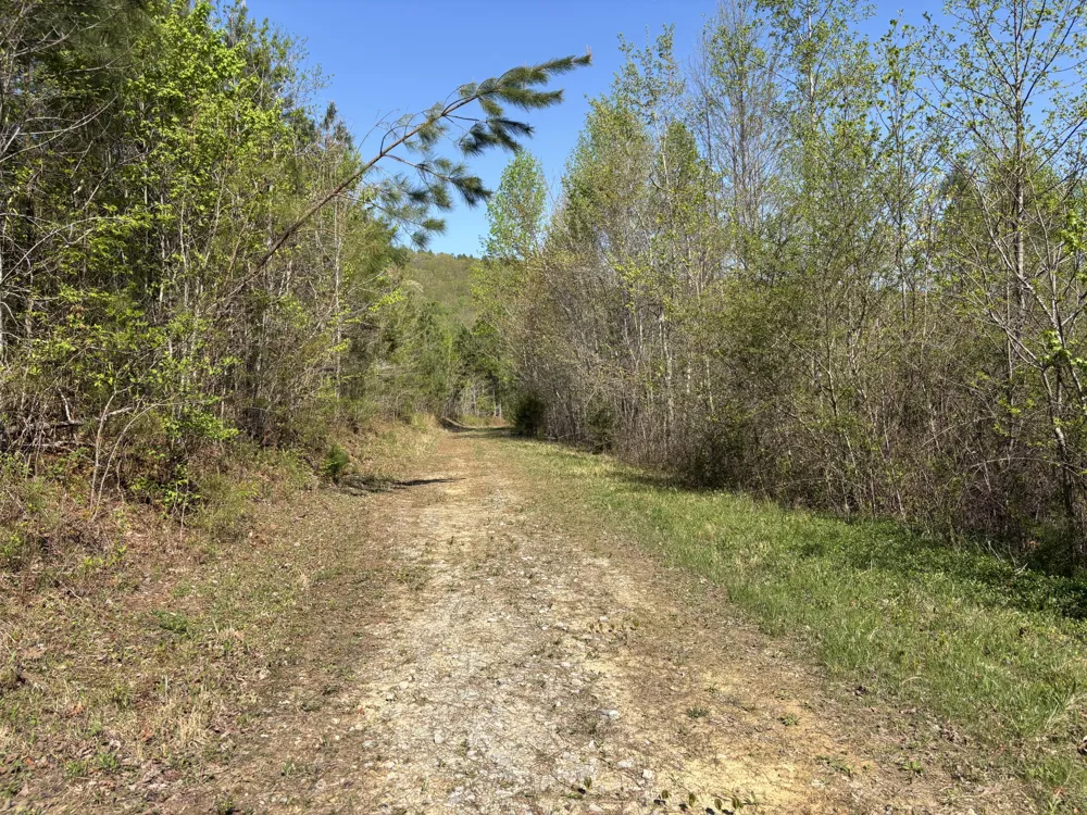 108 Leggett Road Sale Creek, TN 37373