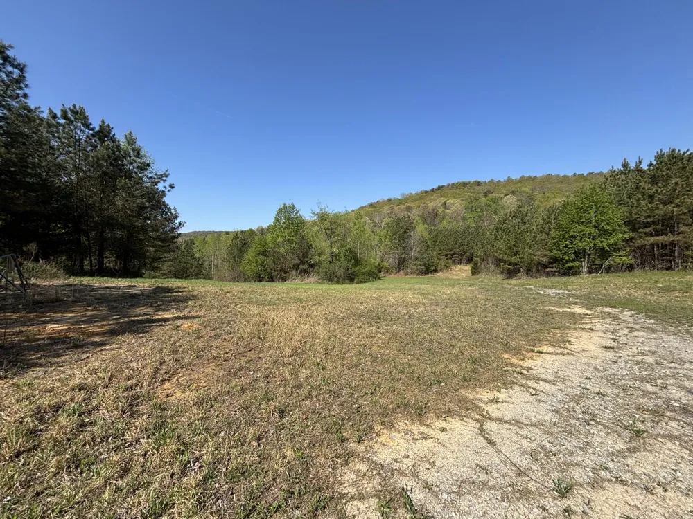 108 Leggett Road Sale Creek, TN 37373
