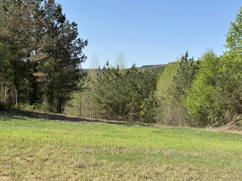 108 Leggett Road Sale Creek, TN 37373