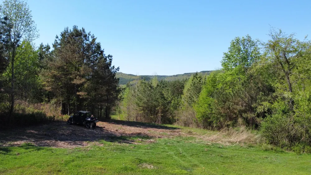 108 Leggett Road Sale Creek, TN 37373
