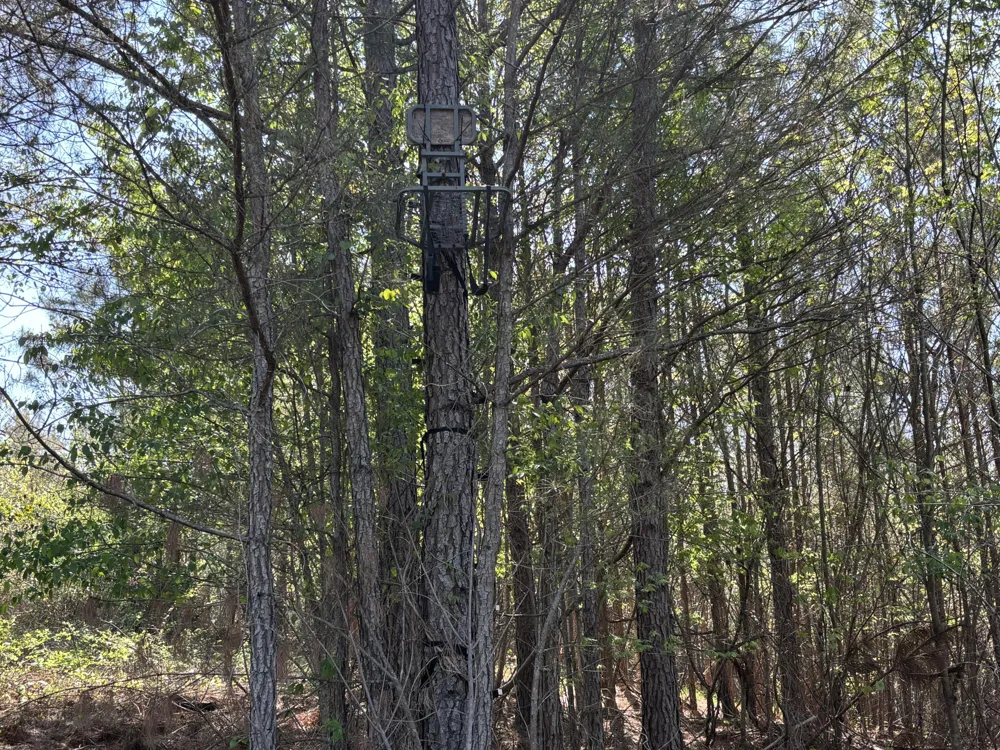 108 Leggett Road Sale Creek, TN 37373