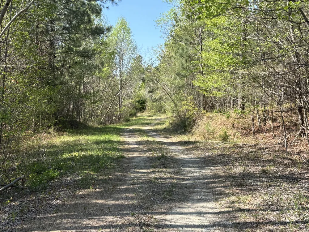 108 Leggett Road Sale Creek, TN 37373