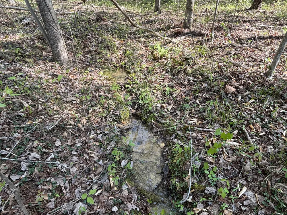 108 Leggett Road Sale Creek, TN 37373