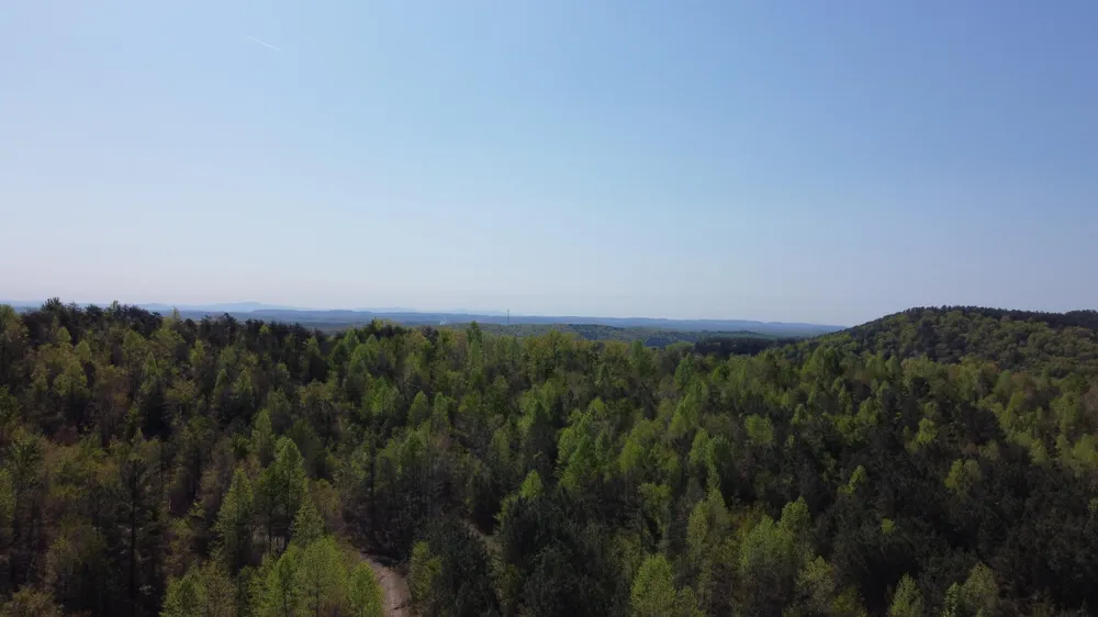 108 Leggett Road Sale Creek, TN 37373