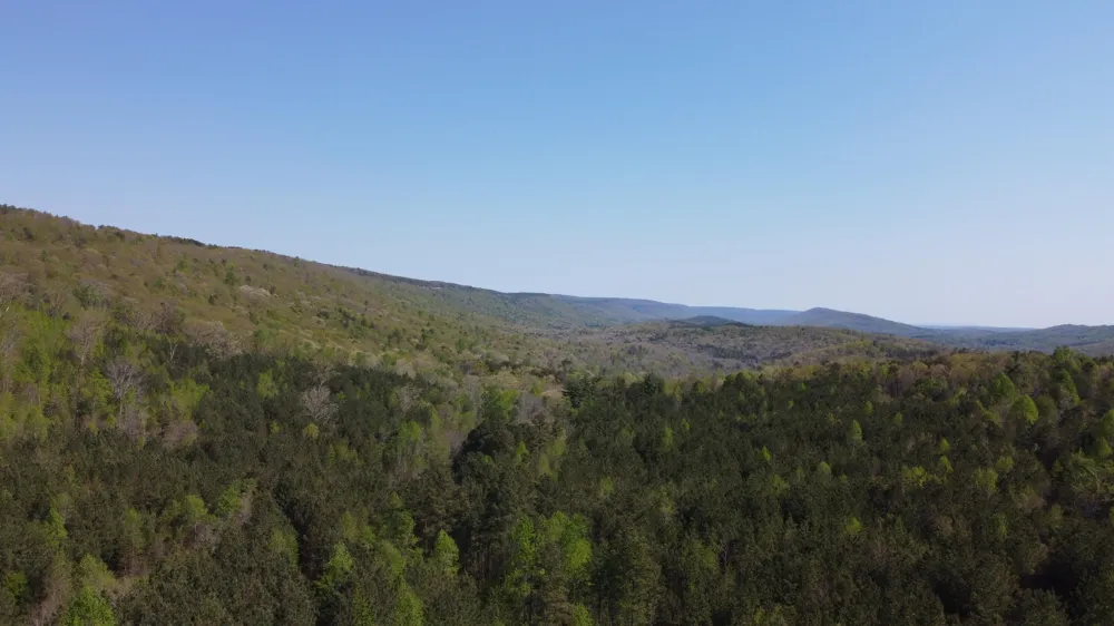 108 Leggett Road Sale Creek, TN 37373