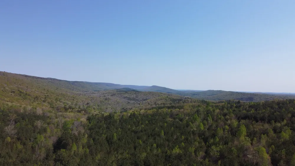 108 Leggett Road Sale Creek, TN 37373