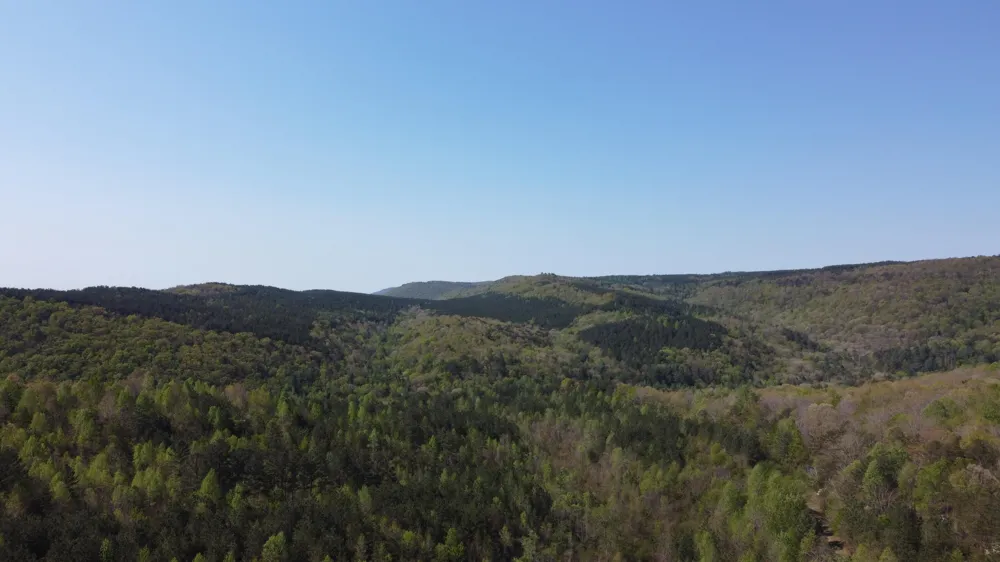 108 Leggett Road Sale Creek, TN 37373