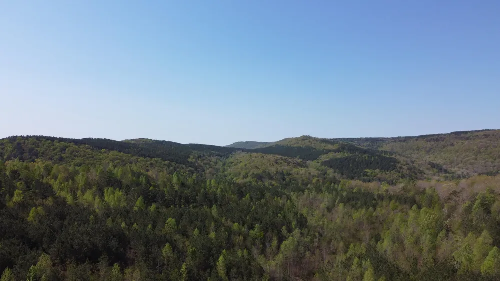108 Leggett Road Sale Creek, TN 37373