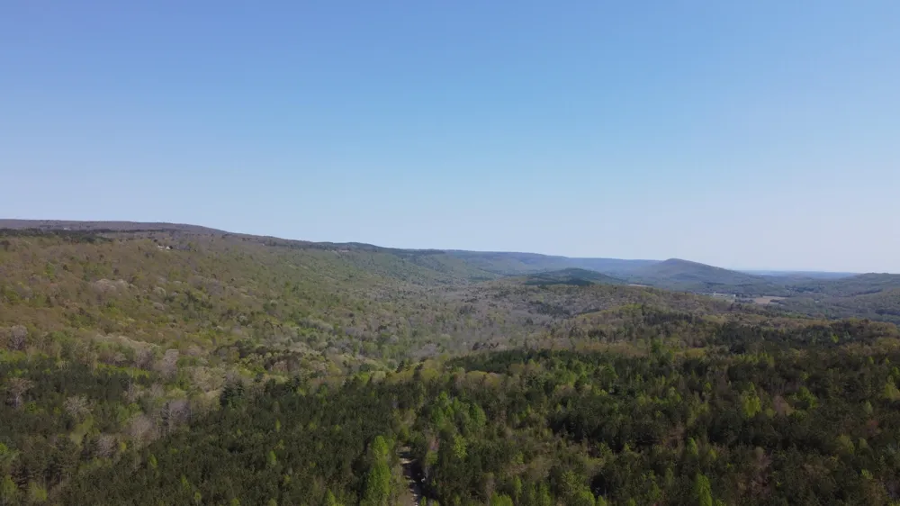 108 Leggett Road Sale Creek, TN 37373