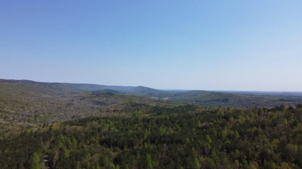 108 Leggett Road Sale Creek, TN 37373