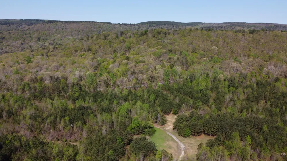 108 Leggett Road Sale Creek, TN 37373