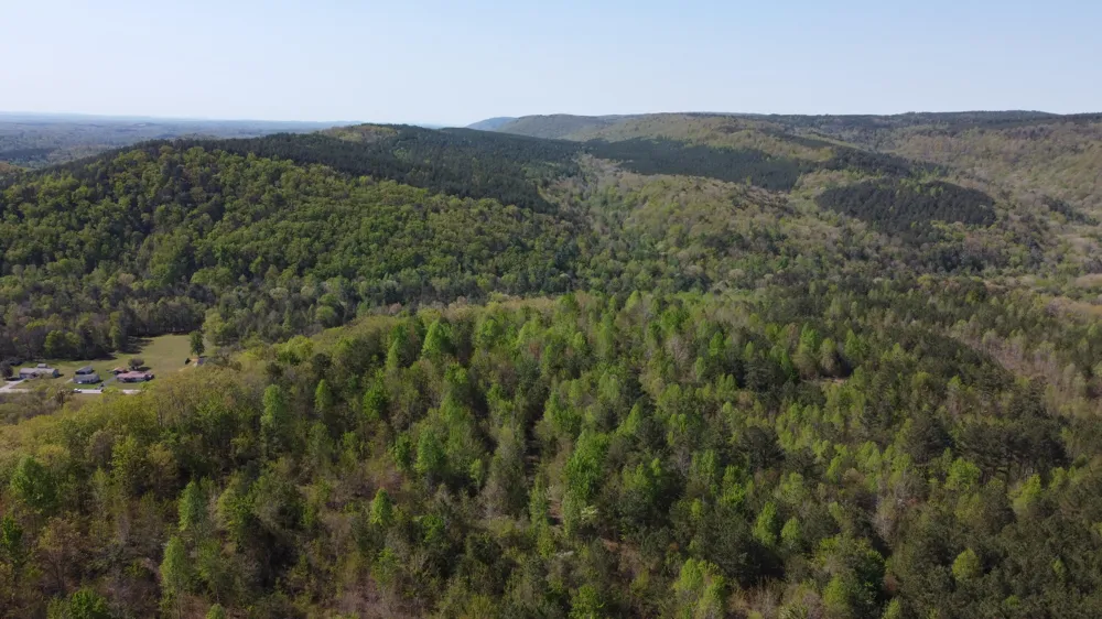 108 Leggett Road Sale Creek, TN 37373