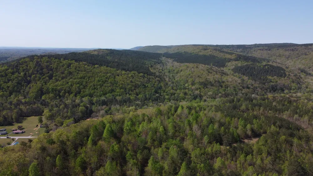 108 Leggett Road Sale Creek, TN 37373