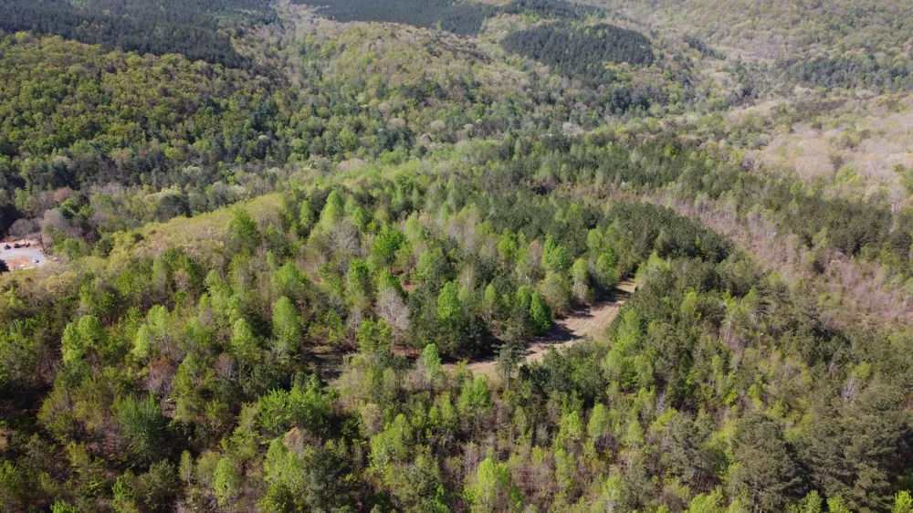 108 Leggett Road Sale Creek, TN 37373