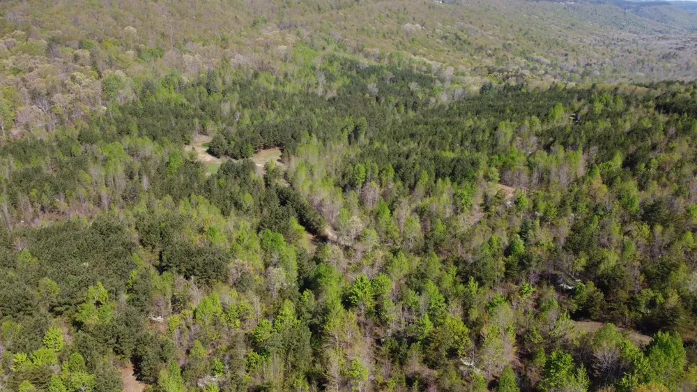 108 Leggett Road Sale Creek, TN 37373