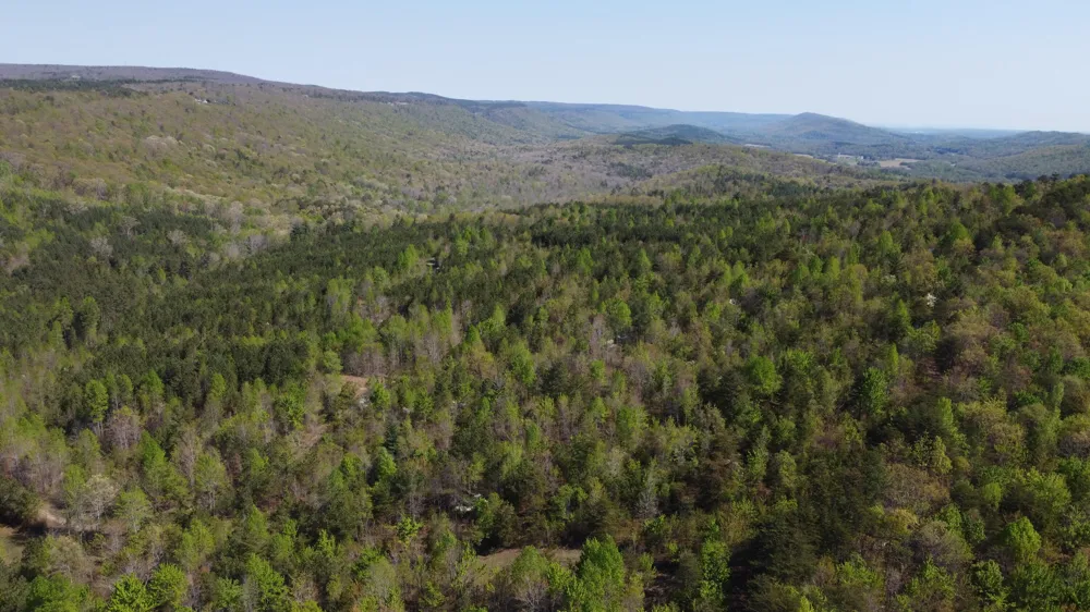 108 Leggett Road Sale Creek, TN 37373